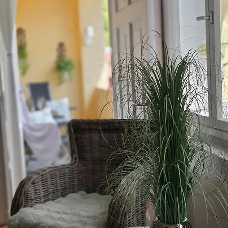 Altbau - Mit Sonniger Loggia Im Schlossgebiet *